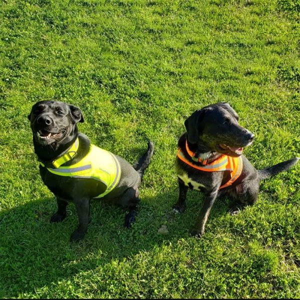 Lite Dog Vest. Coverage to Mid Back. Reflective Hi Visibility Blaze Orange Fluorescent Fabric Helps to Keep Them in Sight and Safe On and Off Leash. - Image 7