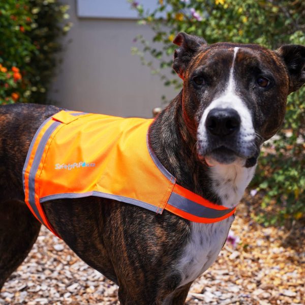 Lite Dog Vest. Coverage to Mid Back. Reflective Hi Visibility Blaze Orange Fluorescent Fabric Helps to Keep Them in Sight and Safe On and Off Leash. - Image 8