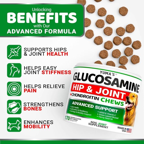 (2 Pack) Glucosamine for Dogs   Made in USA - Image 2