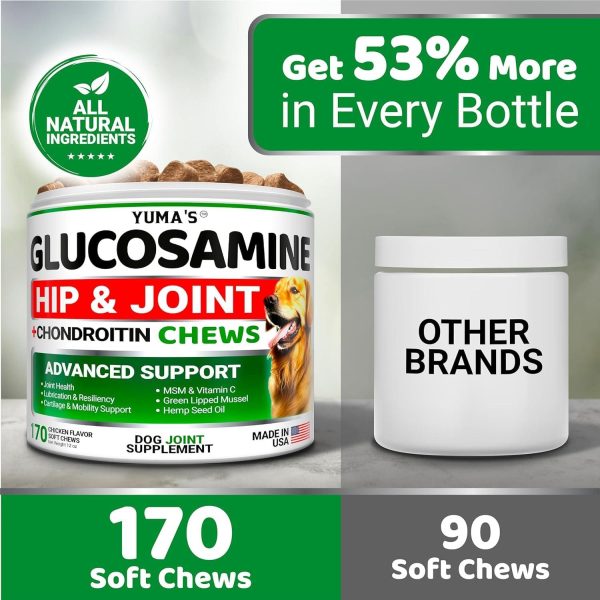 (2 Pack) Glucosamine for Dogs   Made in USA - Image 5