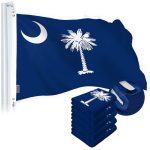 G128 5 Pack: South Carolina SC State Flag | 1x1.5 Ft | StormFlyer Series Embroidered 220GSM Spun Polyester | Embroidered Design, Indoor/Outdoor, Brass Grommets, Heavy Duty, All Weather