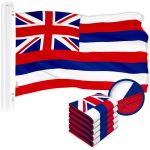 G128 5 Pack: Hawaii HI Hawaiian Flag | 3x5 Ft | ToughWeave Series Embroidered 300D Polyester | Embroidered Design, Indoor/Outdoor, Vibrant Colors, Brass Grommets