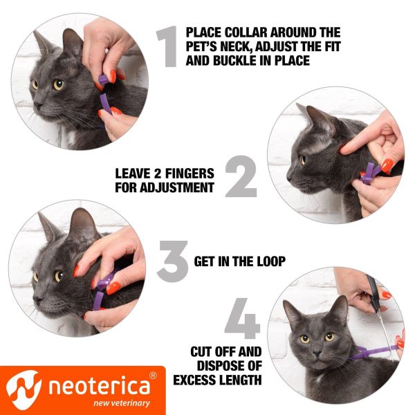 Cat Calming Collar & Pet Anti Anxiety Products   Feline Calm Pheromones Collars & Cats Stress Relief   Comfort Helps with Pee New Zone Aggression Fighting with Dogs & Other Behavior - Image 4