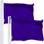 G128 2 Pack: Solid Violet Color Flag | 2.5x4 Ft | LiteWeave Pro Series Printed 150D Polyester | Indoor/Outdoor, Vibrant Colors, Brass Grommets, Thicker and More Durable Than 100D 75D Polyester