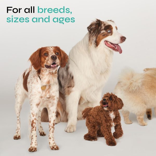 Calming Chews for Dogs   All Canine Breeds   Vet Visits   Travel - Image 7