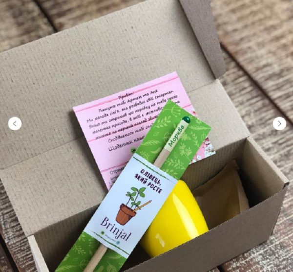Living growing seed sprout wood pencil kid's garden kit children's garden seed kit grow your own garden kit perfect for kids and adults