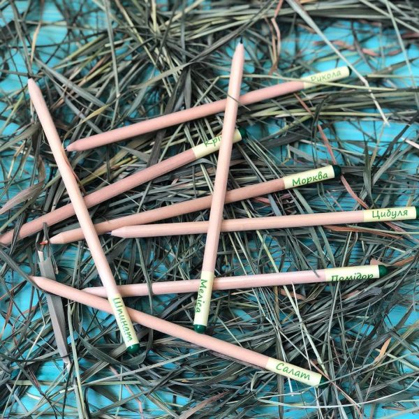 Living growing seed sprout wood pencil kid's garden kit children's garden seed kit grow your own garden kit perfect for kids and adults - Image 9
