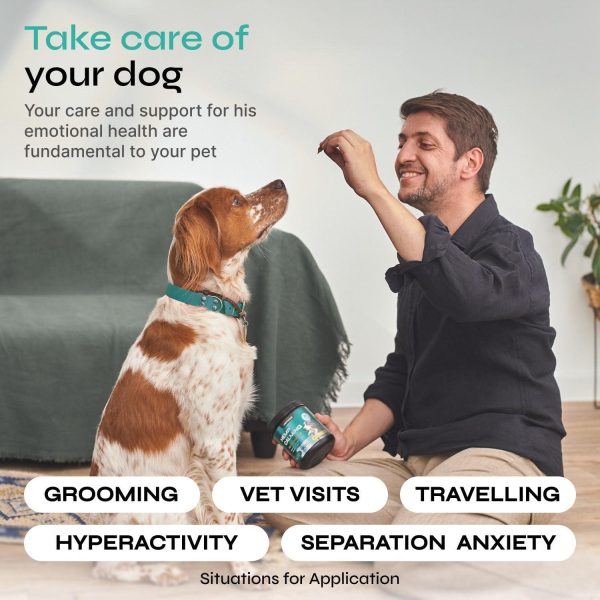 Calming Chews for Dogs Anxiety Relief   Hemp Calming Chews for Dogs with Valerian Root Hemp Seed Oil Turmeric L Theanine   Soft Treats for Storms Fireworks Separation Vet Visits Grooming - Image 4