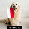 G128 30 Pack Handheld Poland Polish Stick Flags | 12x18 In | Printed 150D Polyester, Country Flag, Solid Wooden Stick, Spear Gold Tip - Image 7