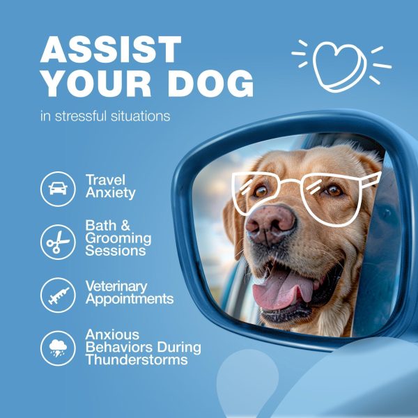 Calming Chews for Dogs   Duck Flavor   Canine Supplement for All Breeds and Sizes - Image 4