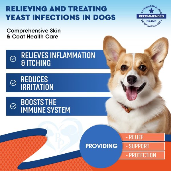 Natural Dog Yeast Infection Anti Itch Treatment   Itchy Ears Skin & Allergy Symptoms Relief   Reduces Inflammation & Relieves Irritation   Herbal Medicine Supplement Drops   Made in USA - Image 2