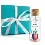 Cute and Kawaii Anniversary Presents   Personalized Love Gifts for Boyfriend Girlfriend   Romantic Gift for Her Him (Colorful Owl   I Love You with Owl My Heart in Teal Gift Box)