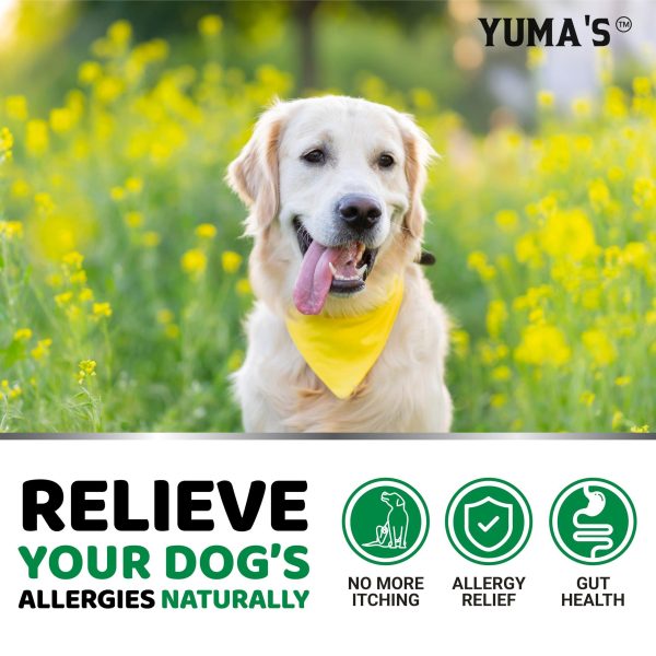 YUMA'S Dog Allergy Relief Chews   Dog Itching Skin Relief Treatment Pills   170 Treats   Anti Itch for Dogs   Itchy and Paw Licking   Dry Skin & Hot Spots   Omega 3 Fish Oil   Skin & Coat Supplement - Image 4