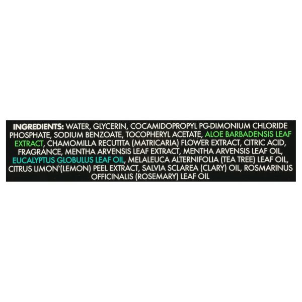 Dude Wipes - Wipes Body Mint Chill - 1 Each-30 CT - Image 2