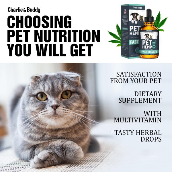 Hеmp Оil Dogs Cats   Helps Pets with Аnxiеty Pаin Strеss Slееp Аrthritis Sеizures Rеlief   Нiр Jоint Hеalth   Cаlming Trеats - Image 8