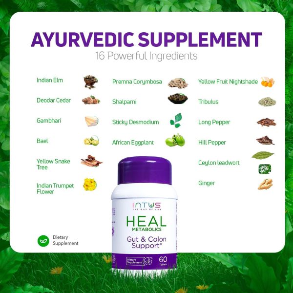 Intus Heal   Herbal Digestive Support Supplement with Ayurvedic Ingredients   Supports Gut Wellness & Regularity   60 Tablets - Image 5