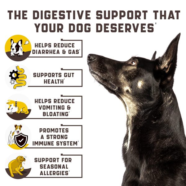 Green & Beautiful Lawn: Reduce yellow patches with green lawn chews for healthy dogs! Easy lower nitrogen in dog urine and deal with unwanted yellow burn spots. Try an amazing grass saver for a clean and vibrant yard! Gut Health for Dogs: Burn spots - Image 2