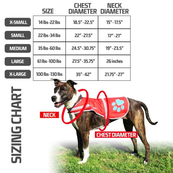 Dog Reflective Vest – Multiple Color Options with Hi Vis Fluorescent Visibility Helping to Safeguard Your Pet On Off Leash in Urban & Rural Areas. - Image 2