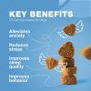 Hemp Calming Chews for Dogs   Dog Calming Treats   Anxiety Relief for Dogs with L Theanine Chamomile Extract Valerian Root   Dog Anxiety Relief for Travel Vet Visits Thunderstorms Nail Trimming - Image 3