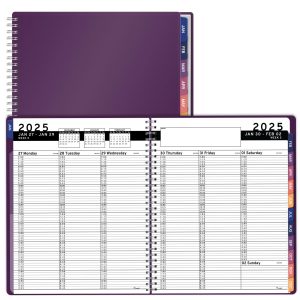 2025 Appointment Book & Planner   8.5 x 11 inches Large Tabbed Daily Hourly Weekly Planner Calendar & Schedule Book 15 Minute time Slots Business & Personal Planner Jan 2025  Dec 2025  Purple