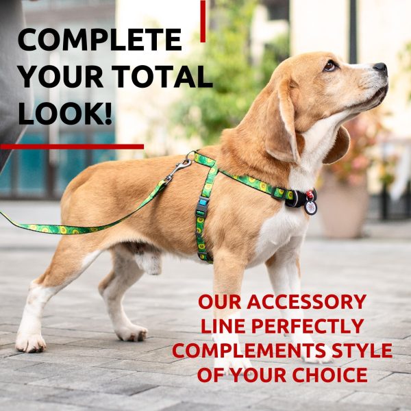 WAUDOG Nylon Dog Leash for Small Dogs and Medium Dogs 4 Ft   Strong Dog Leash for Large Dogs   Heavy Duty Dog Leashes for Large Breed Dogs & Puppy Leash for Small Boy & Girl Dogs - Image 6