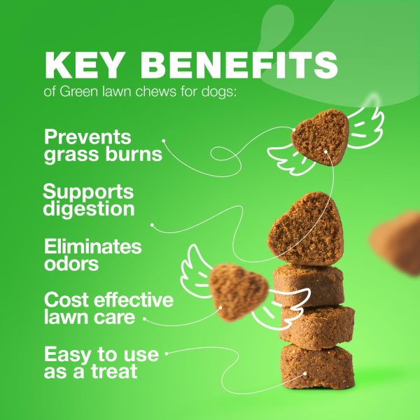 Grass Burn Spot Chews for Dogs   Dog Urine Neutralizer for Lawn   Grass Savers for Dog Urine   Dog Pee Lawn Spot Saver Caused by Dog Urine   Grass Treatment Rocks   Probiotics Enzymes & Multivitamins - Image 2