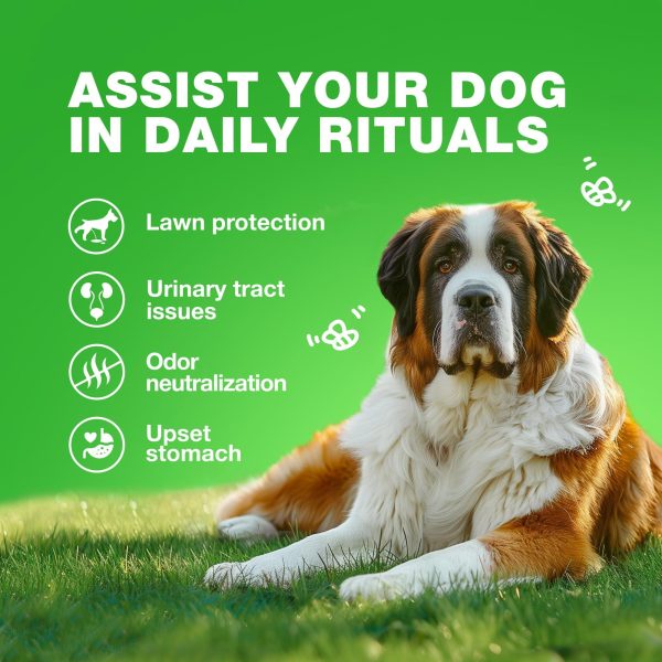 Grass Burn Spot Chews for Dogs   Dog Urine Neutralizer for Lawn   Grass Savers for Dog Urine   Dog Pee Lawn Spot Saver Caused by Dog Urine   Grass Treatment Rocks   Probiotics Enzymes & Multivitamins - Image 4