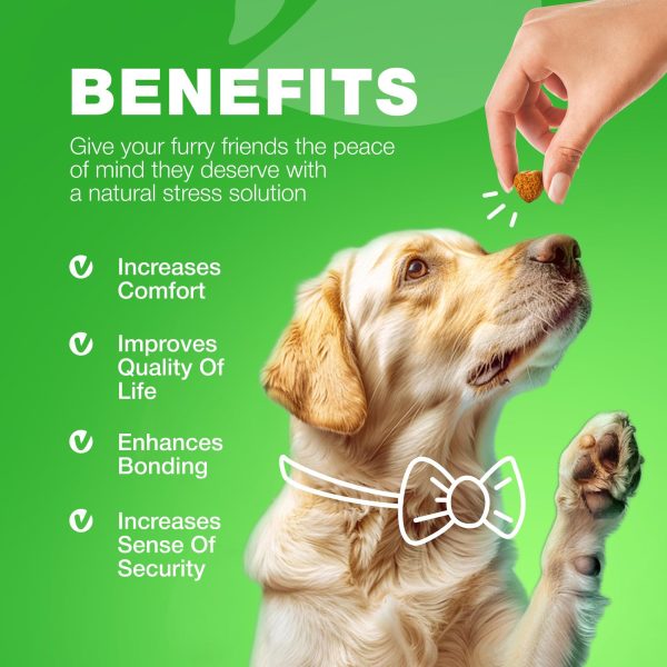 Grass Burn Spot Chews for Dogs   Dog Urine Neutralizer for Lawn   Grass Savers for Dog Urine   Dog Pee Lawn Spot Saver Caused by Dog Urine   Grass Treatment Rocks   Probiotics Enzymes & Multivitamins - Image 8