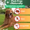 Flea and Tick Prevention for Dogs Chewables   Natural Dog Flea and Tick Control Supplement   Flea & Tick Chews for Dogs   Oral Flea Pills for Dogs   Pest Defense   All Life Stages   Made in USA - Image 4