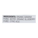 Earth's Best Organic Banana Blueberry Baby Food Puree - Stage 2 - Case of 12 - 4 oz.
