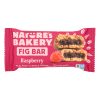 Nature's Bakery Stone Ground Whole Wheat Fig Bar - Raspberry - 2 oz - Case of 12 - Image 2