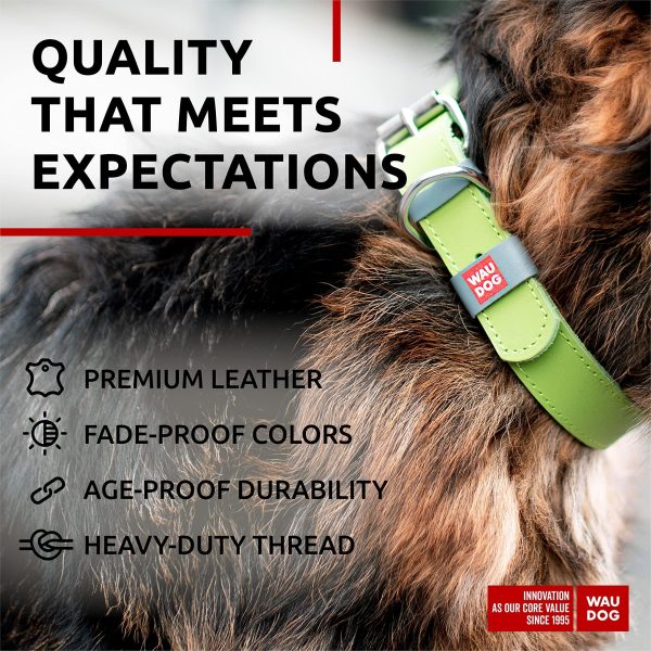 Long Lasting Leather Dog Collar for Large Dogs Medium & Small Dogs   Adjustable Classic Puppy Collars for Large Breed Dogs   Boy & Girl Dog Collars with Durable Buckle D Ring & QR Dog Tag - Image 4