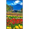 Sharp NEC Display 75" Ultra High Definition Professional Display - Image 3