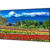 Sharp NEC Display 75" Ultra High Definition Professional Display - Image 6