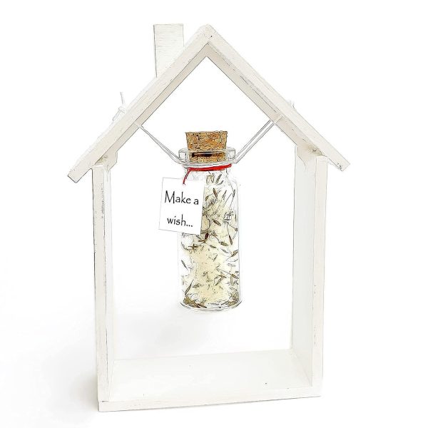 Tiny Magical Message in a Bottle Gift Idea   Classy Inspirational Gifts for Him and Her   Unique Presents for Women and Men (White Dandelion   Make a Wish in Wooden Frame)