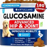 Glucosamine for Dogs   Hip and Joint Supplement for Dogs with Arthritis   Chews with Chondroitin Hemp Oil MSM   Canine Joint Pain Relief Health   Mobility Support for Large Breeds   120 Soft Treats