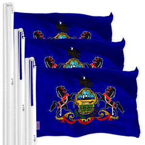 Pennsylvania PA State Flag 3x5 Ft 3-Pack 150D Printed Polyester By G128