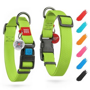 Waterproof Dog Collar   Adjustable Dog Collar for Large Dogs Small and Medium Dogs   Breakaway Dog Collar Waterproof with Plastic Buckle and QR Dog Tag   Boy & Girl Dog Collars (Green)