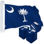 G128 10 Pack: South Carolina SC State Flag | 2x3 Ft | StormFlyer Series Embroidered 220GSM Spun Polyester | Embroidered Design, Indoor/Outdoor, Brass Grommets, Heavy Duty, All Weather