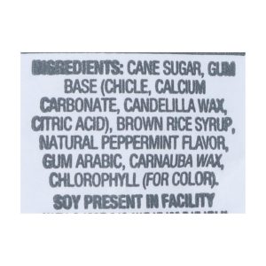 Glee Gum - Chewing Gum Peppermint Pouch - Case of 6-55 CT
