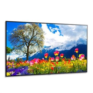 MultiSync M981