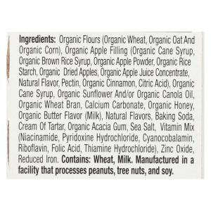 Earth's Best - Bars Sunny Days Apple - Case of 6-4.69 OZ