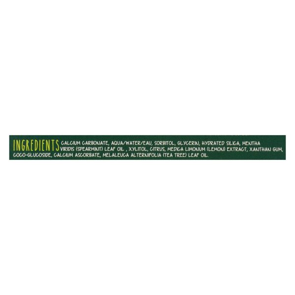 The Green Beaver Toothpaste - Spearmint Toothpaste - Case of 1 - 2.5 fl oz.