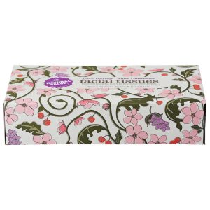 Natural Value - Facial Tissue 2ply - Case of 30 - 100 CT