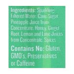 Reed's - Ginger Beer 650 Extra - Case of 6 - 4/12 FZ