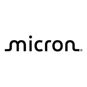 Crucial 32GB CSODIMM
