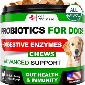 Probiotics for Dogs   Dog Probiotics and Digestive Enzymes for Gut Health Itchy Skin Allergies Immunity Yeast Balance   Prebiotics   Reduce Diarrhea Gas   120 Probiotic Chews for Dogs   USA Made