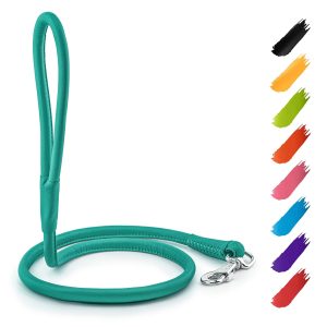 WAUDOG Rolled Leather Dog Leash 4Ft * 0.3 in for Small Medium and Large Dogs   Heavy Duty Leather Puppy Leash for Outdoor Walking Running Training   Strong Dog Leashes for Large Breed Dogs (Mint)